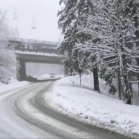 Apartment Fewo-michi *