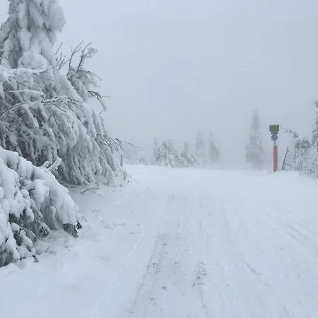 Apartment Fewo-michi *