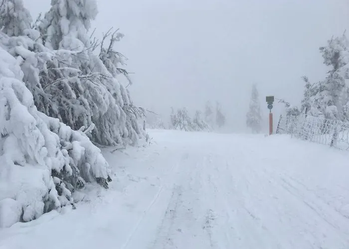 Apartman Fewo-michi *